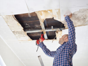Summer Restoration Jobs in Frankford, DE