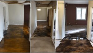 How long does it take for water damage to cause mold?